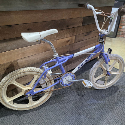 1987 Skyway Street Beat Survivor