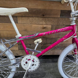 Load image into Gallery viewer, 1987 Schwinn Predator FreeForm Pro Bike