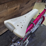 Load image into Gallery viewer, 1987 Schwinn Predator FreeForm Pro Bike