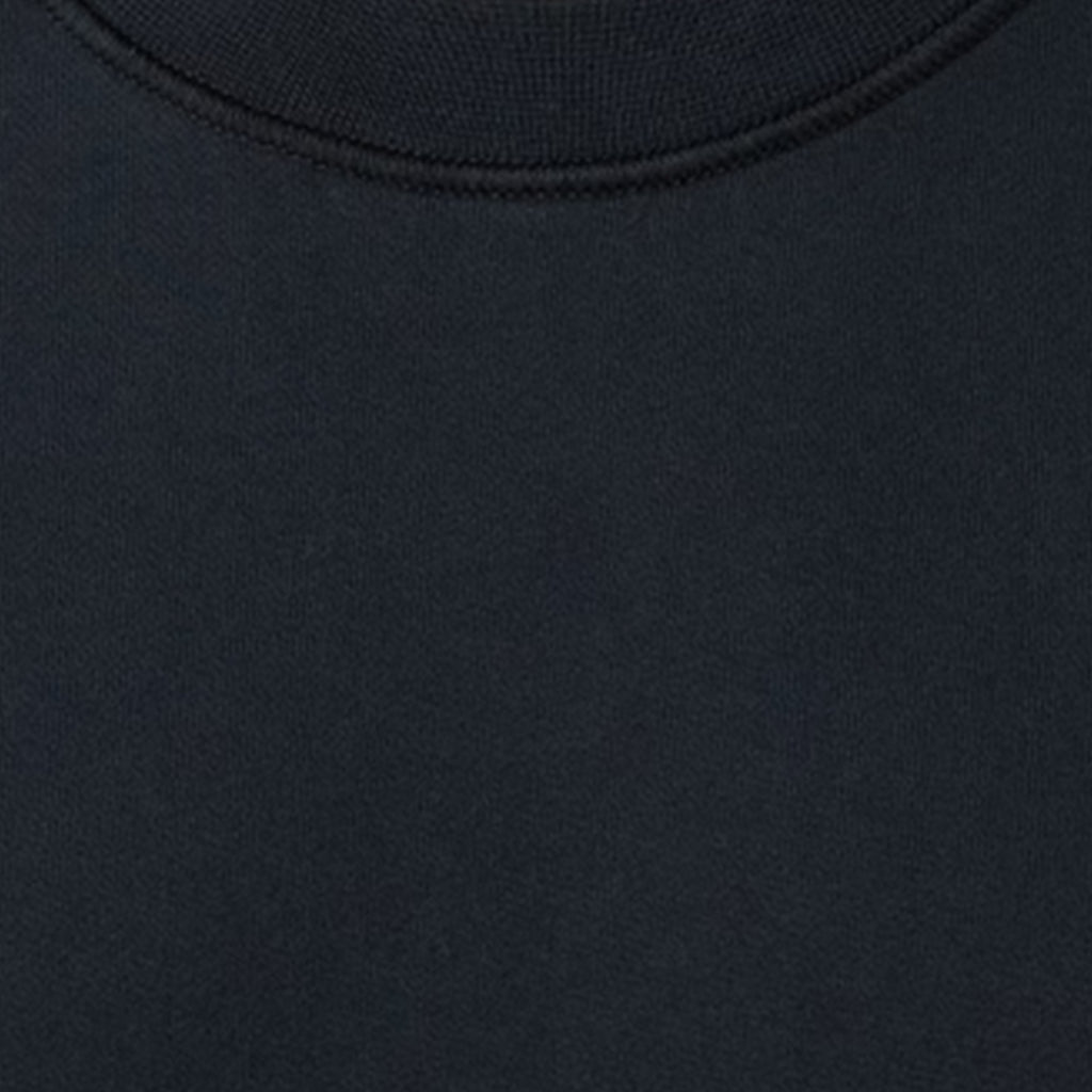 [Stone Island] Organic Cotton Fleece Garment Dyed Sweatshirt
