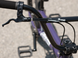 Load image into Gallery viewer, Sunday Forecaster Park Bike