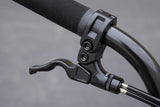 Load image into Gallery viewer, Sunday Forecaster Park Bike (Maca Perez Grasset Signature)