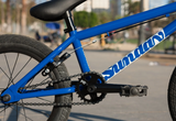 Load image into Gallery viewer, Sunday Primer 16" Bike