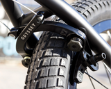 Load image into Gallery viewer, Sunday Wavelength Gary Young Signature Bike