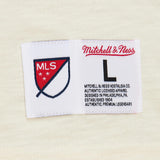 Load image into Gallery viewer, Mitchell and Ness LA Galaxy Legendary Slub Long Sleeve Tee